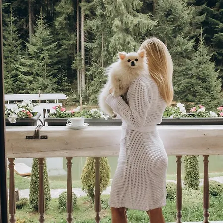 Dağ evi 
